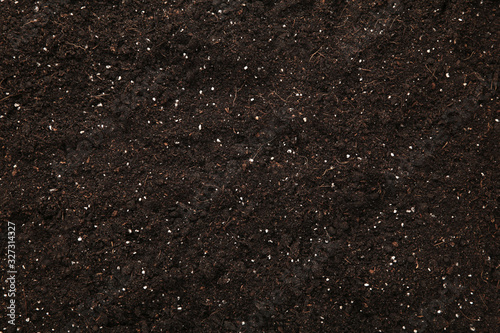 Brown soil texture background with copy space