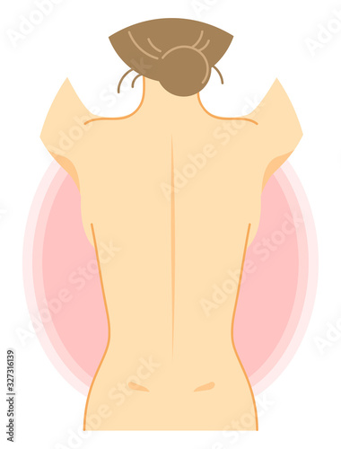 女性の背面のイラスト（裸・美容・健康・説明図）