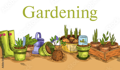 Vector horizontal banner with seedlings, plants, pots, watering can and rubber boots. Illustration in engraving style for gardening shops, markets, farming enterprises, landing pages, advertisements. 