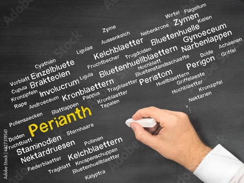 Perianth