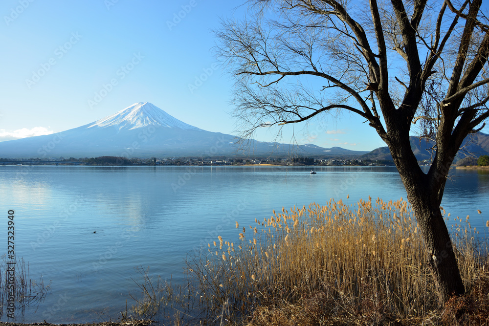 富士 富士山 山梨県河口湖付近の風景 StockFoto Adobe Stock