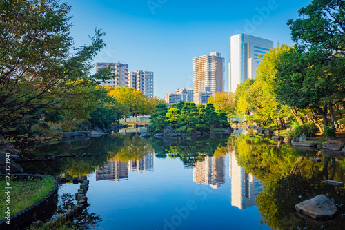 Japan. Residential buildings and offices in the Japanese city. Houses on the background of a picturesque Park with a pond. Japanese pines on an island in the city pond. life in Japan.