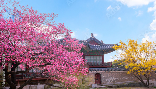 Changdeokgung Palace in Spring South Korea
