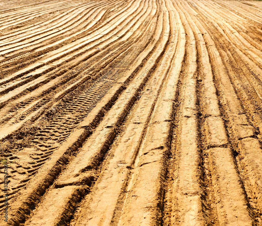 The sandy surface of the construction site is leveled with bulldozers, scrapers and earthmoving equipment