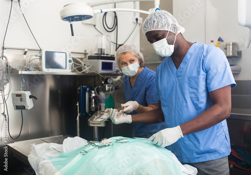 Nurse assisting surgeon in an operating room of veterinary clinic