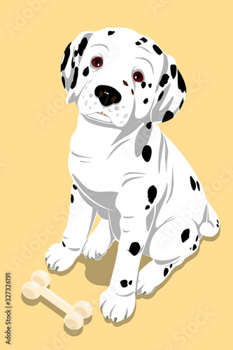 Realistic little dalmatian puppy and his bone toy in detailed colorized shade shadow graphics