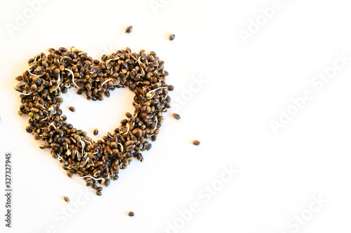 a pile of sprouted food hemp seeds heart shaped isolated on a white background. space for text © Ksenia