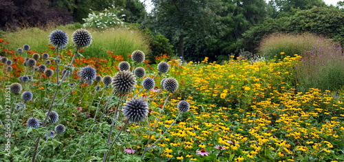 Foto buntes großes Staudenbeet im Sommer