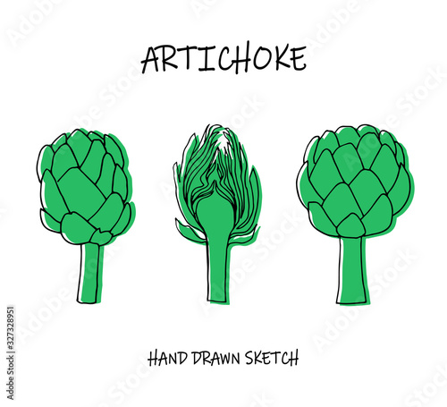 Linear drawing of artichoke - fresh vegetable. Art can be used for design menu, packaging element design.