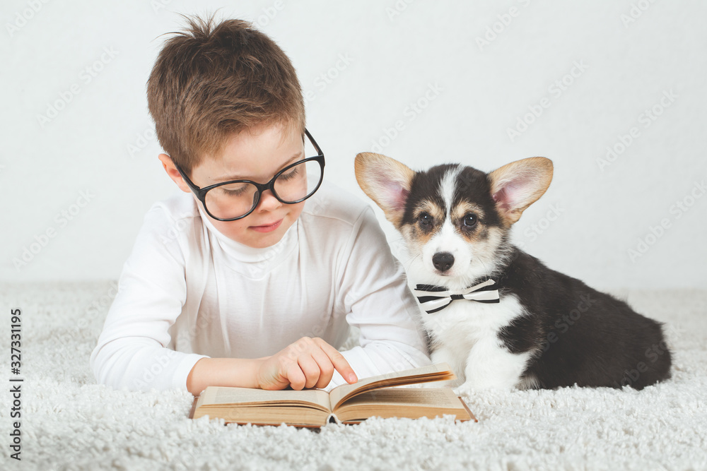 Teen boy and Corgi puppy with glasses Teen boy and Corgi puppy with glasses
