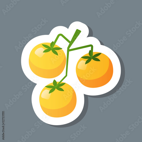 fresh yellow crerry tomato branch sticker tasty vegetable icon healthy food concept vector illustration photo