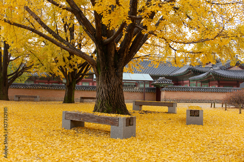 Gyeongbokgung palace, in autumn Seoul,South Korea.
