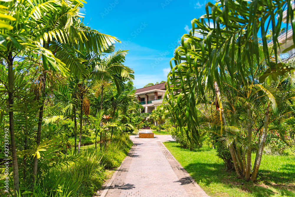 Tropical alley with green palm trees at summer vacation resort.