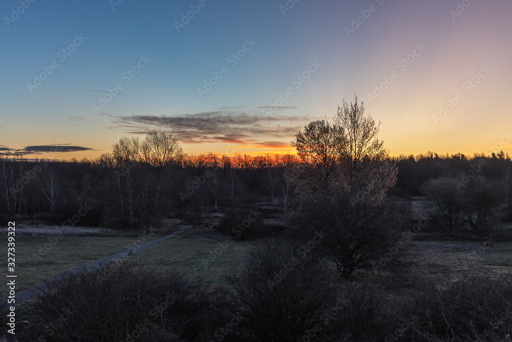 Sonnenaufgang im Wald