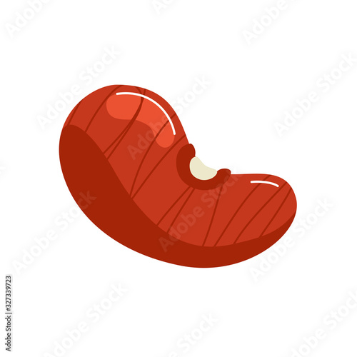 bean seed organic isolated icon vector illustration design