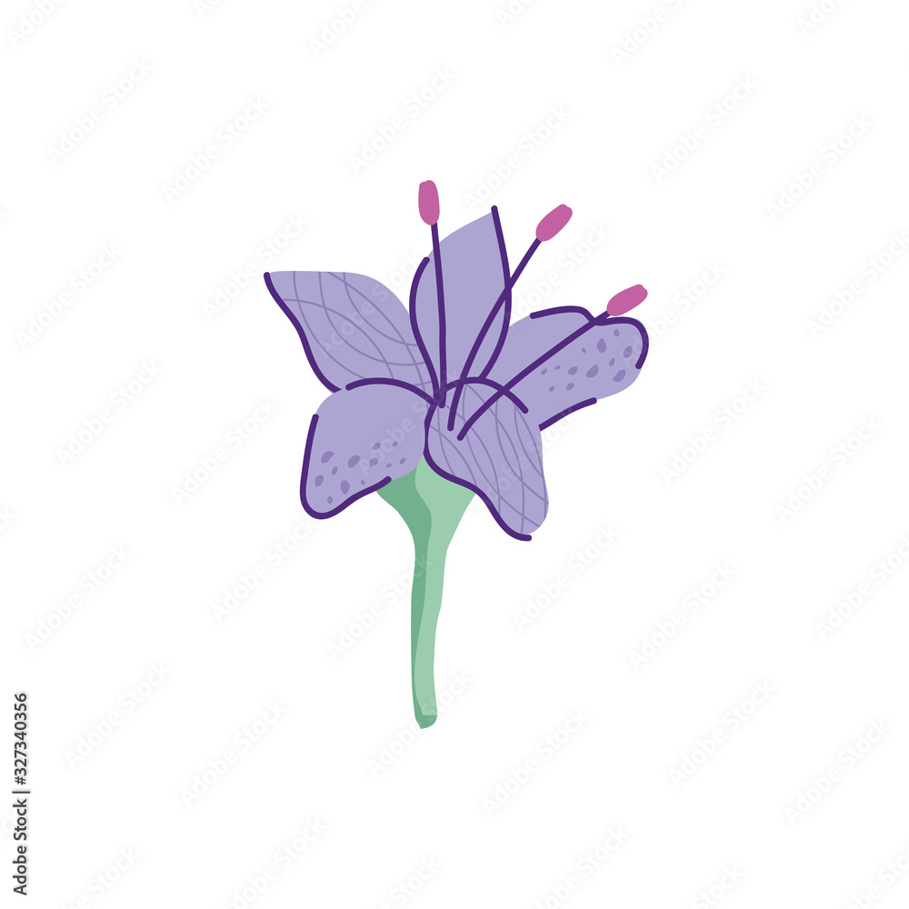 Fototapeta premium cute geranio flower nature isolated icon vector illustration design