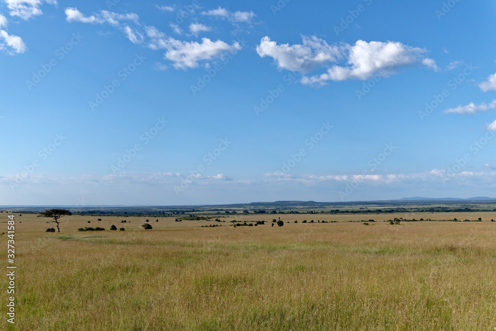 Masai Mara