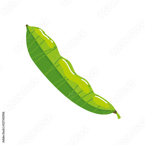pod pea plant isolated icon vector illustration design