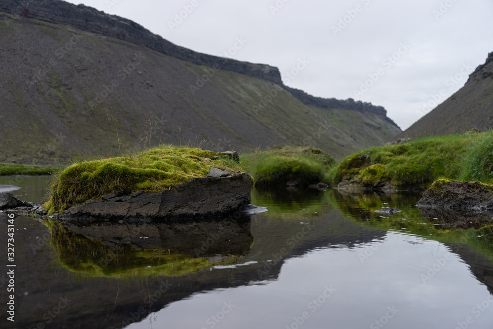 Eldgja canyon covered with moss in Iceland highlands Eldgja canyon covered with moss in Iceland highlands