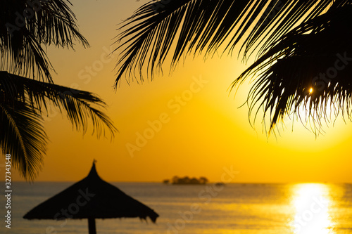 orange tropical sunset with black palm trees silhouette