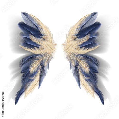Butterfly wings with feathers. Modern  abstract art Golden Feather. Vector illustration.