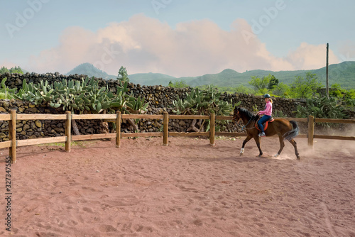 beautiful young woman working with her horse outdoors