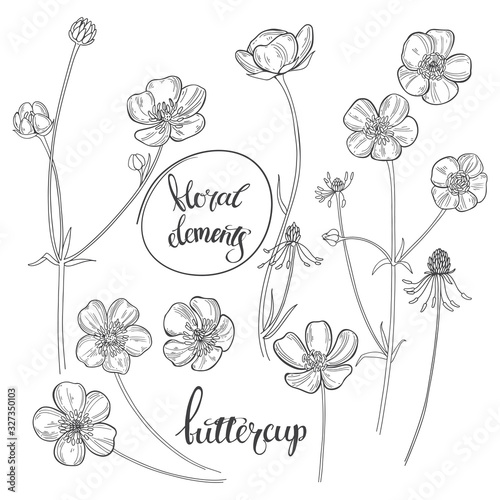 Slika na platnu Buttercups