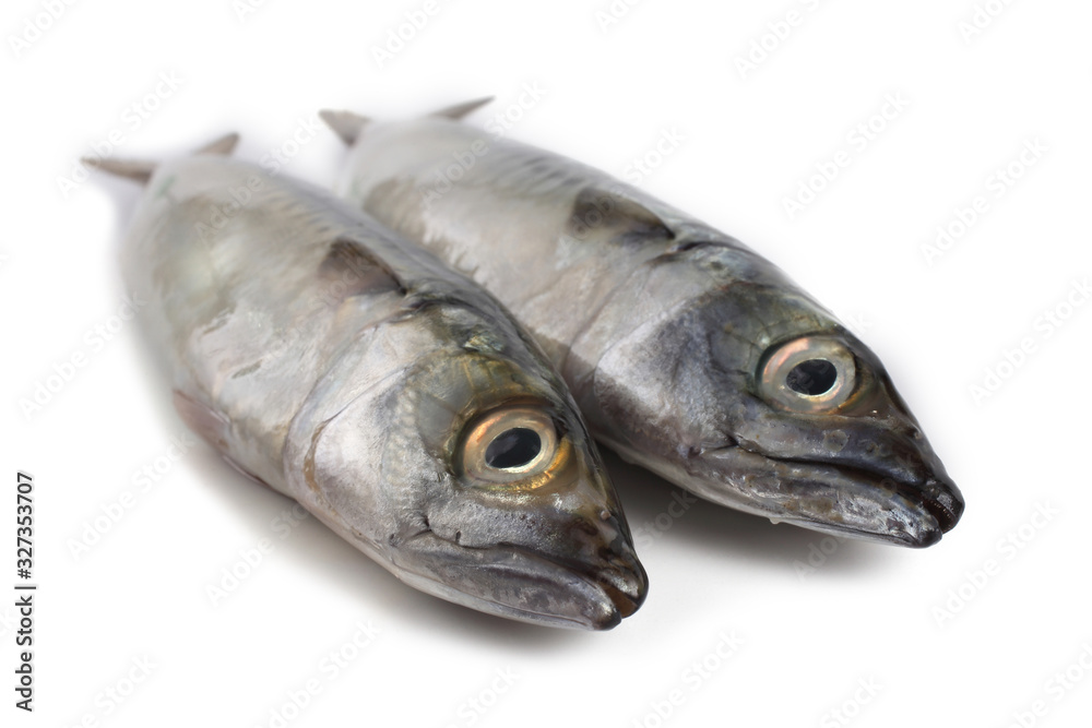 Chub mackerel (Pacific mackerel, saba) Chub mackerel (Pacific mackerel, saba)