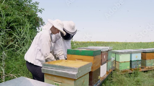 Wallpaper Mural Beekeepers checking their combs Torontodigital.ca