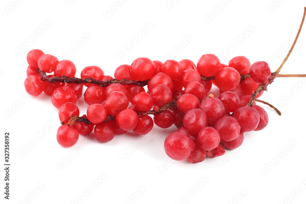 Schisandra Chinensis isolated on white Schisandra Chinensis isolated on white