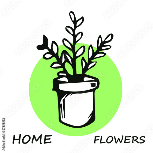 vector clipart home plant in a pot isolated on a white background. hand-drawn flower.