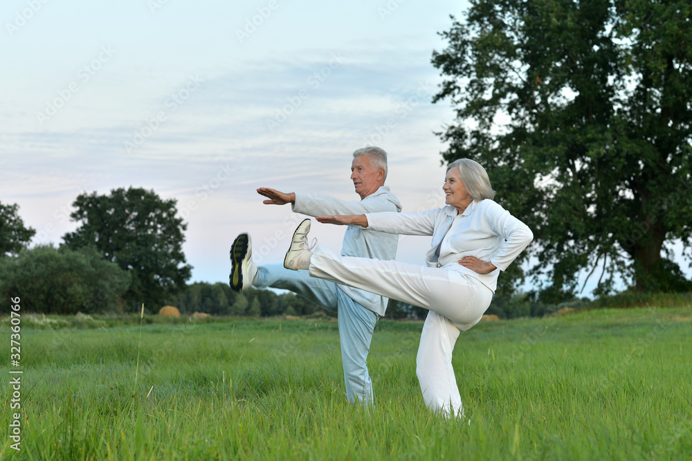Portrait of fit senior couple exercising in park Portrait of fit senior couple exercising in park