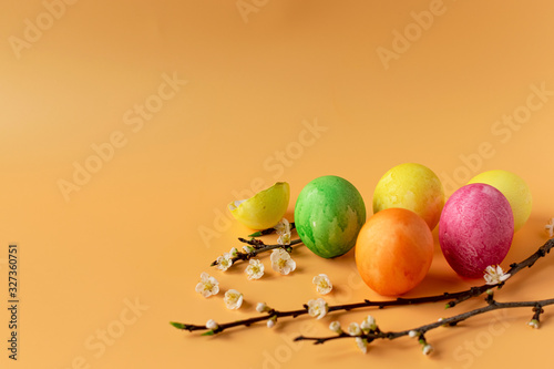 Colored eggs with spring green grass and flowering tree branch on an orange background. Easter holiday, family traditions