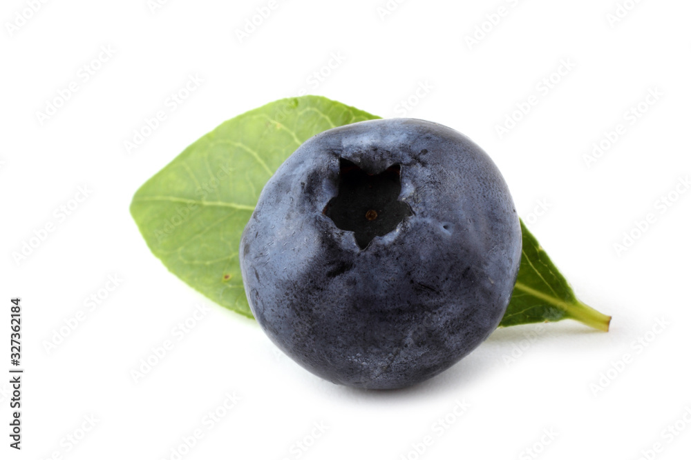 Obraz premium Blueberry and leaf