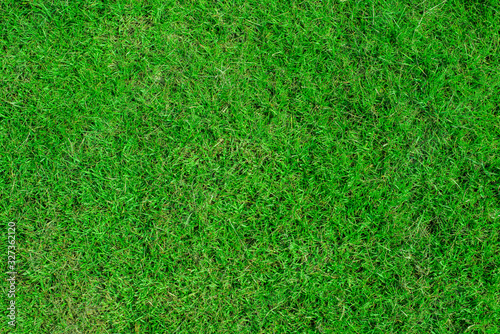  Green Grass Background