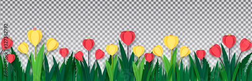Red and yellow crocuses in the grass on isolated on a transparent background. Paper style. Template for banner, poster, presentation. Vector