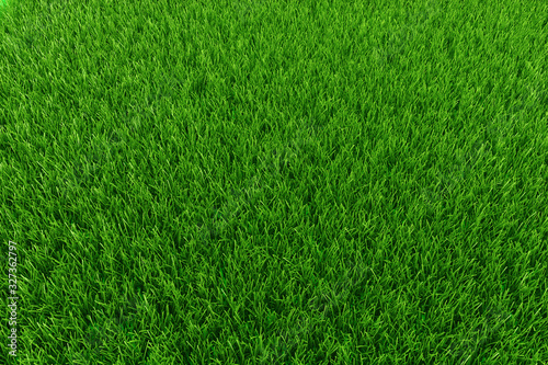  Green Grass Background