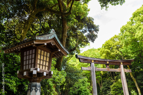 lamp and Torii Gate of Meiji Jingu shrine, Tokyo © Blanscape