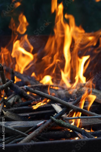 Wild Fire at a barbecue on great night