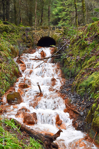 Cascading waterfall stream in Blairadam Forest, Fife, Scotland with contrasting colours of orange/rust rocks and green trees, ferns and moss. photo