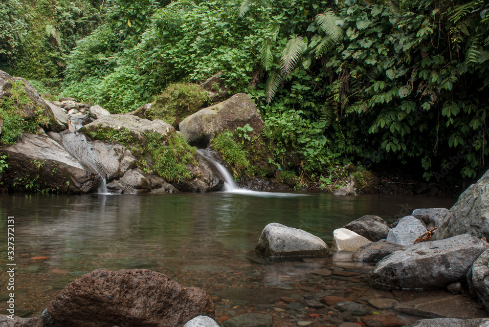 View of river in the rainforest, bogor Indonesia View of river in the rainforest, bogor Indonesia