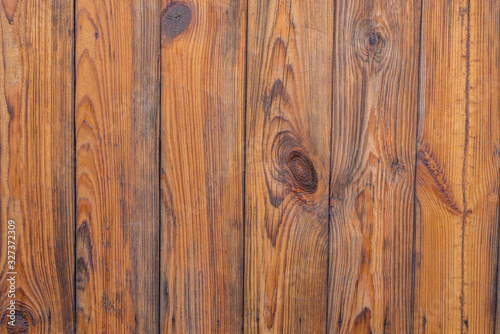 Background tree. Wood texture. Wood wall