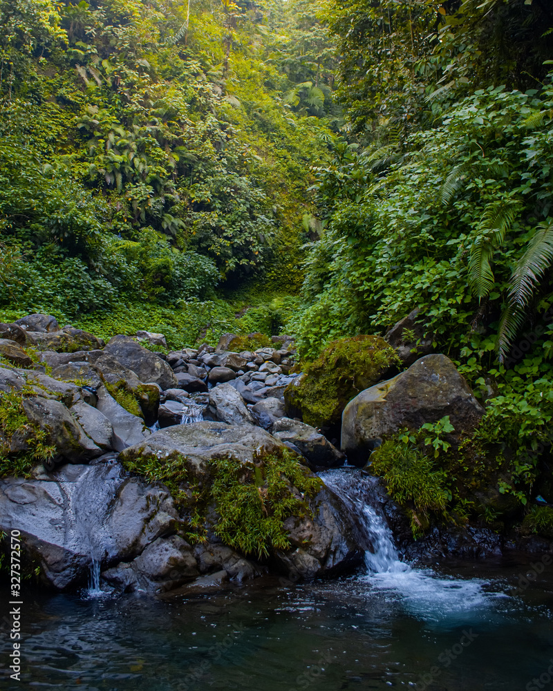 View of river in the rainforest, bogor Indonesia View of river in the rainforest, bogor Indonesia