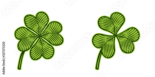 Vector illustration of lucky four-leaf and trefoil clovers in vintage engraving style; isolated on white background.