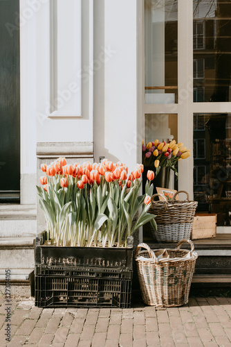 Photography Tulips in front of entrance to flower shop in Amsterdam, Holland, The Netherlands