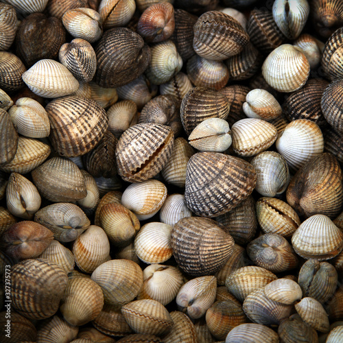 frische Herzmuscheln auf einem Marktstand close up