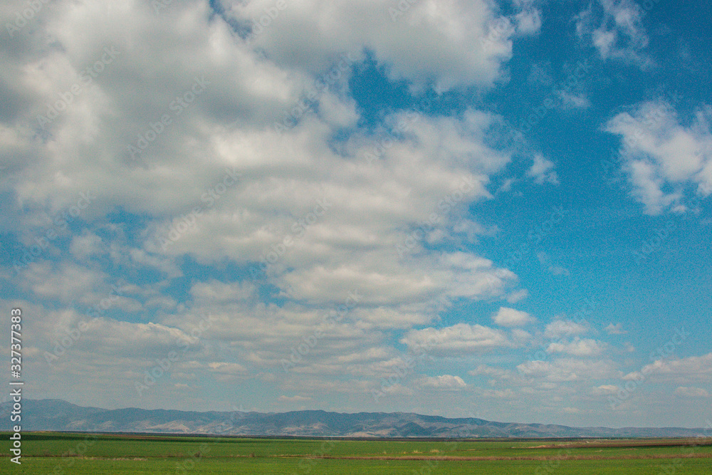 Field of fresh green grass, beautiful blue sky with white clouds Field of fresh green grass, beautiful blue sky with white clouds