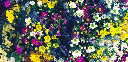 Bouquet of colorful flower in plastic bag for sale at floral shop in blue vintage tone filter. Fresh plant or Natural wallpaper concept. Beauty in nature  © Nattasak