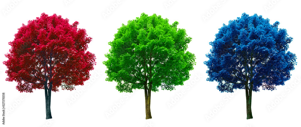 Fototapeta tree set in red, green and blue colors isolated on white background
