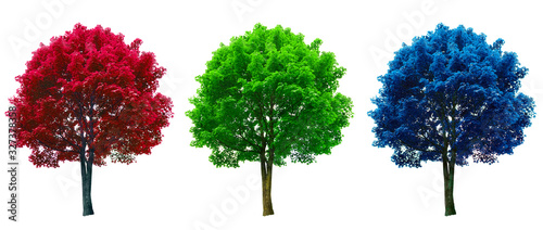 tree set in red, green and blue colors isolated on white background